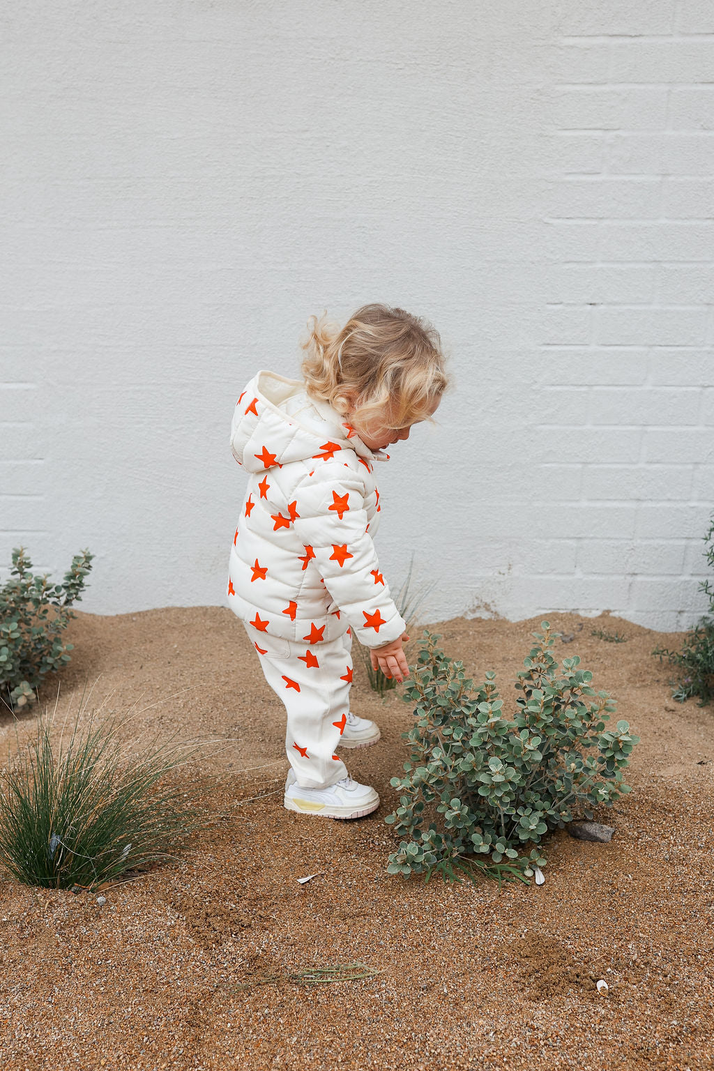 Lulu Jacket - Stars