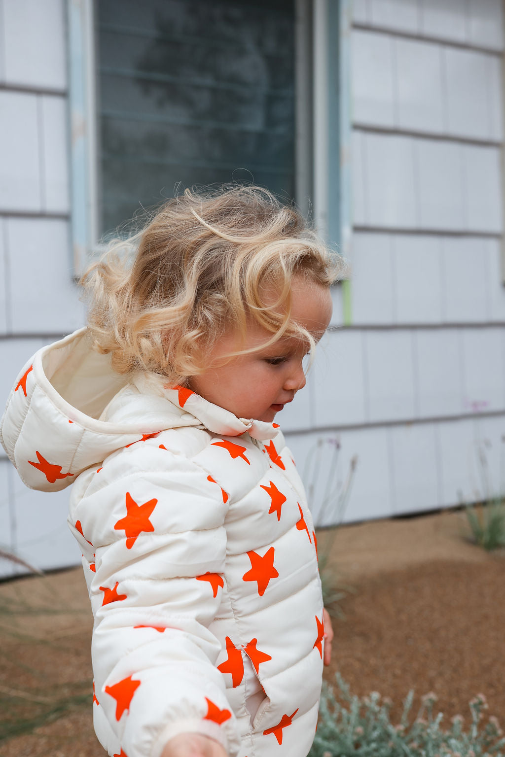 Lulu Jacket - Stars