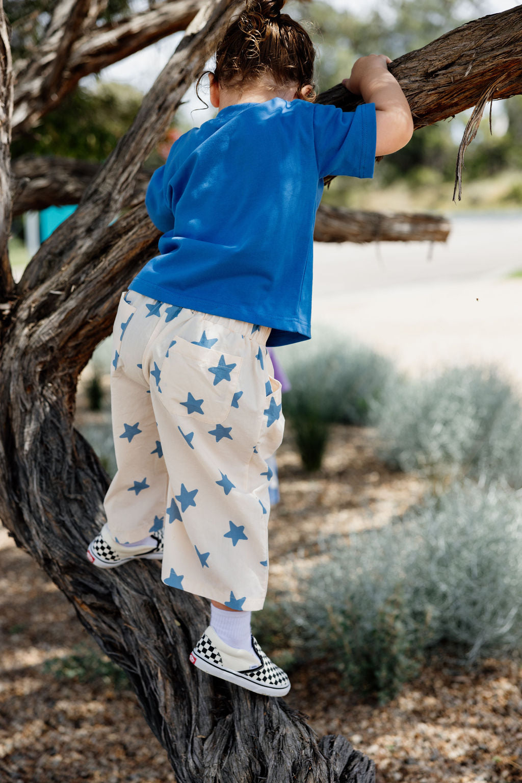 Dusty Star Pants