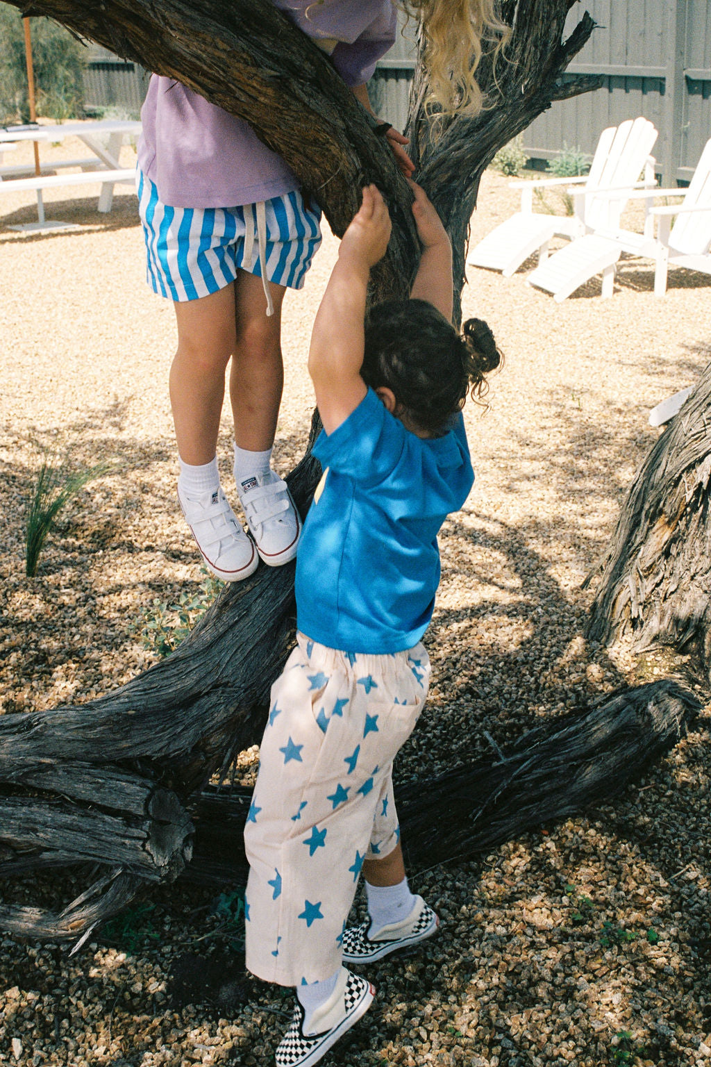 Dusty Star Pants