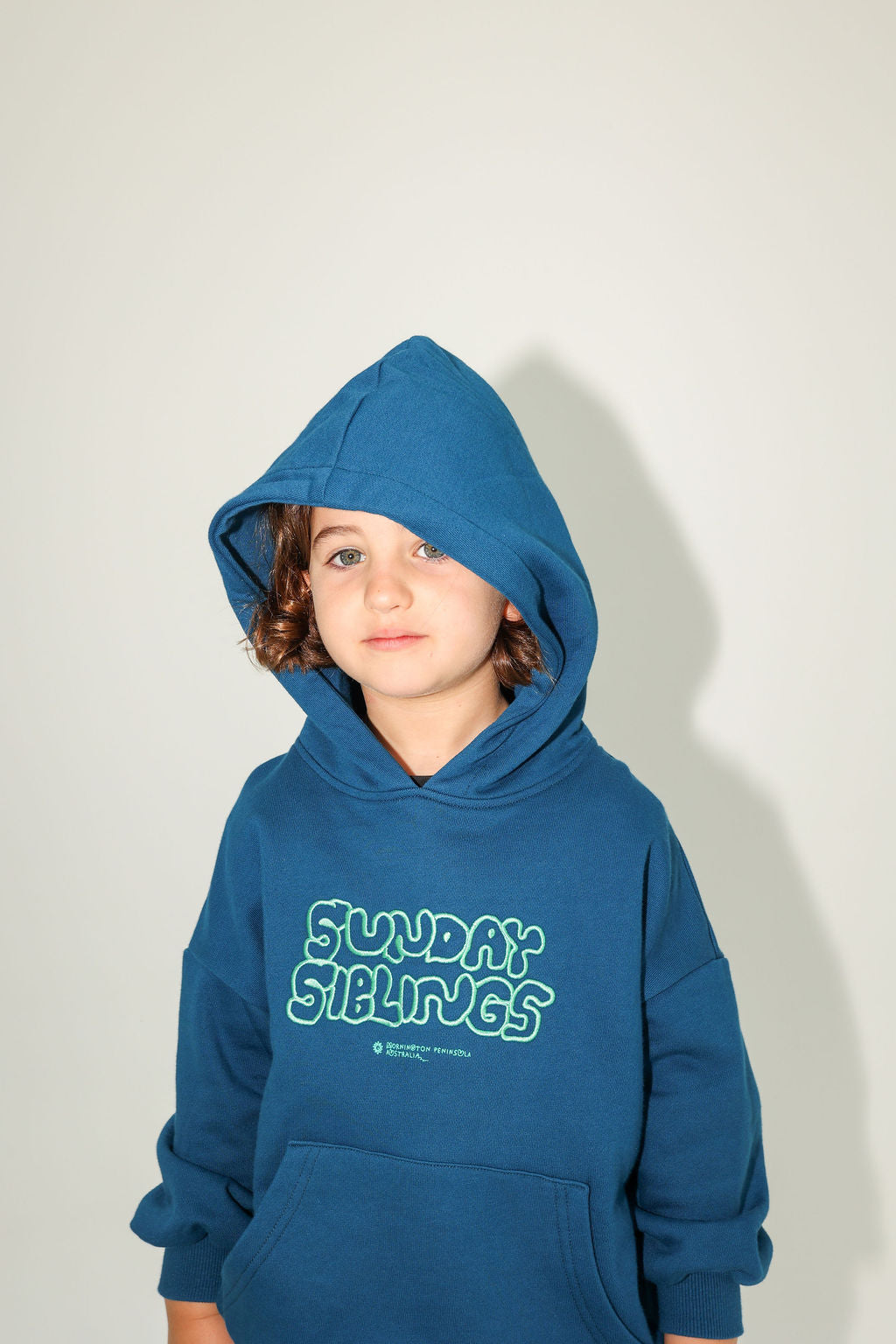 Park Party Hoodie - Navy