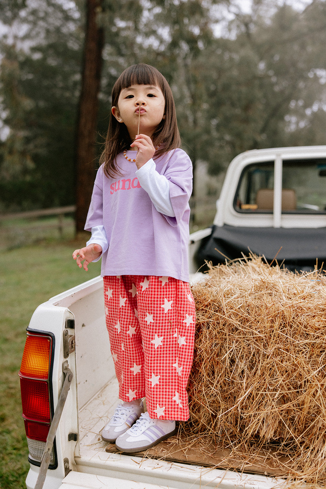 Dusty Star Pants - Pink Gingham