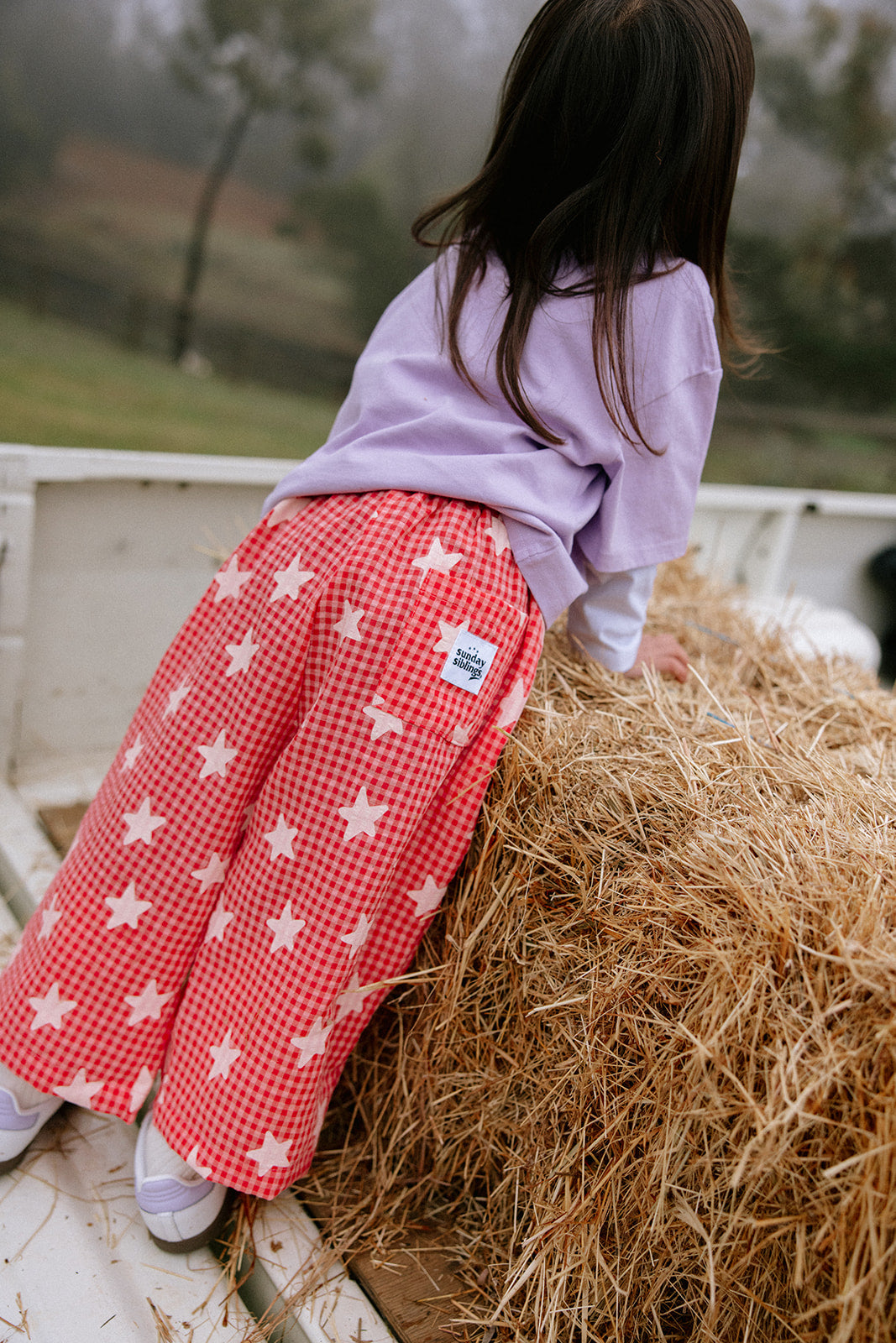 Dusty Star Pants - Pink Gingham