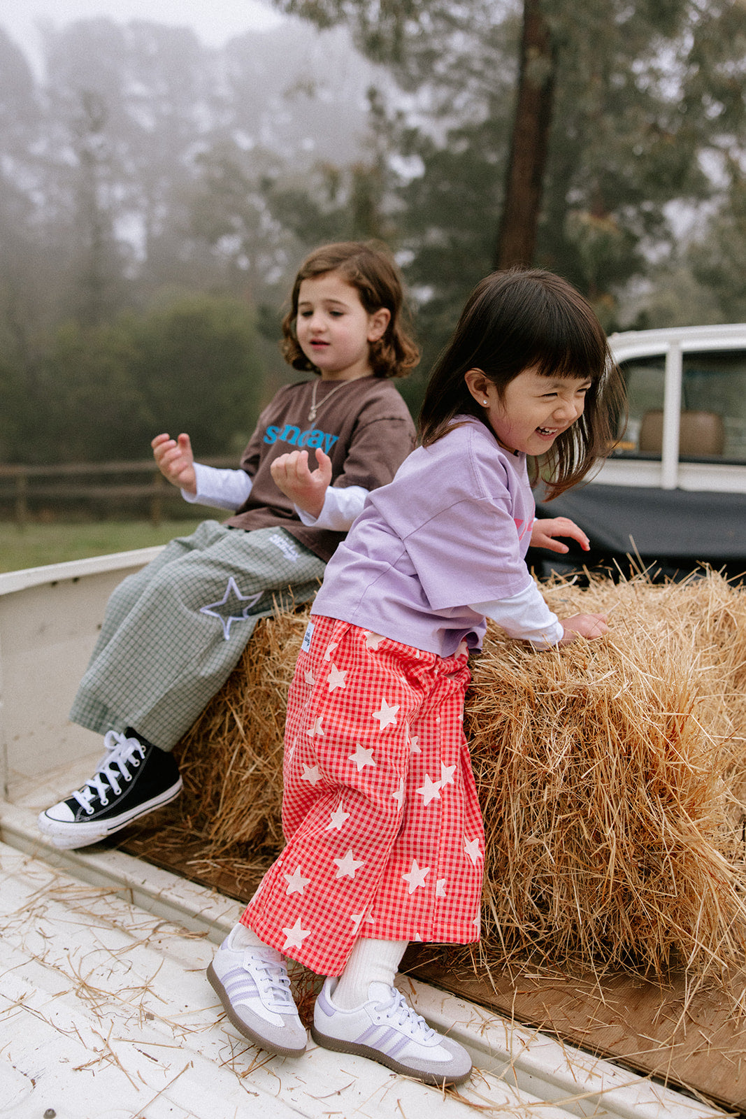 Dusty Star Pants - Pink Gingham