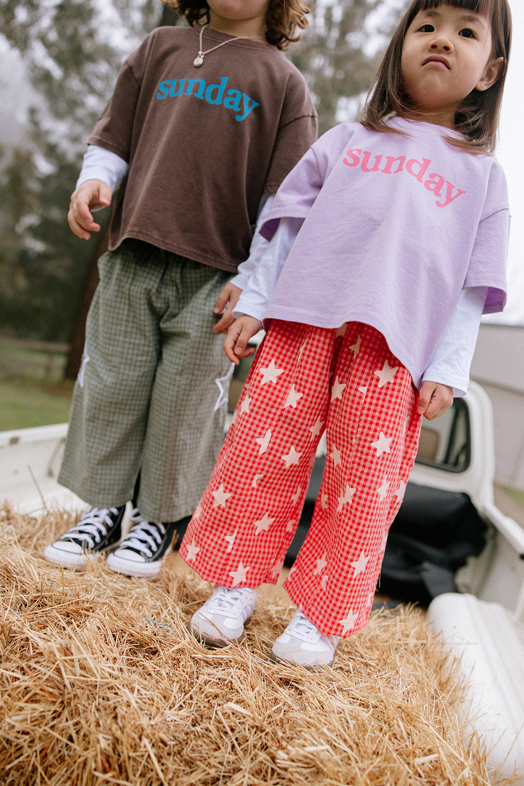 Dusty Star Pants - Pink Gingham