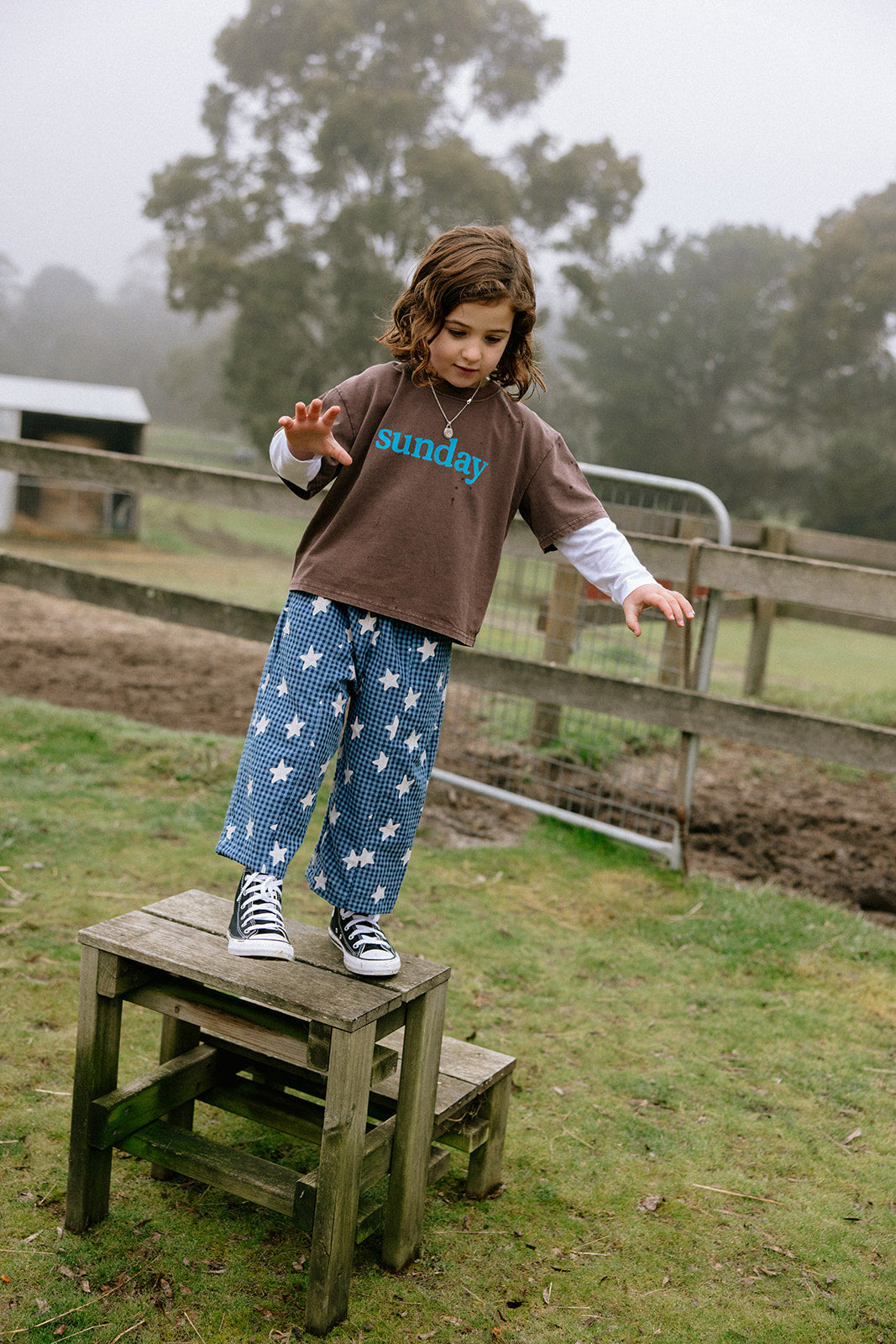 Dusty Star Pants - Blue Gingham