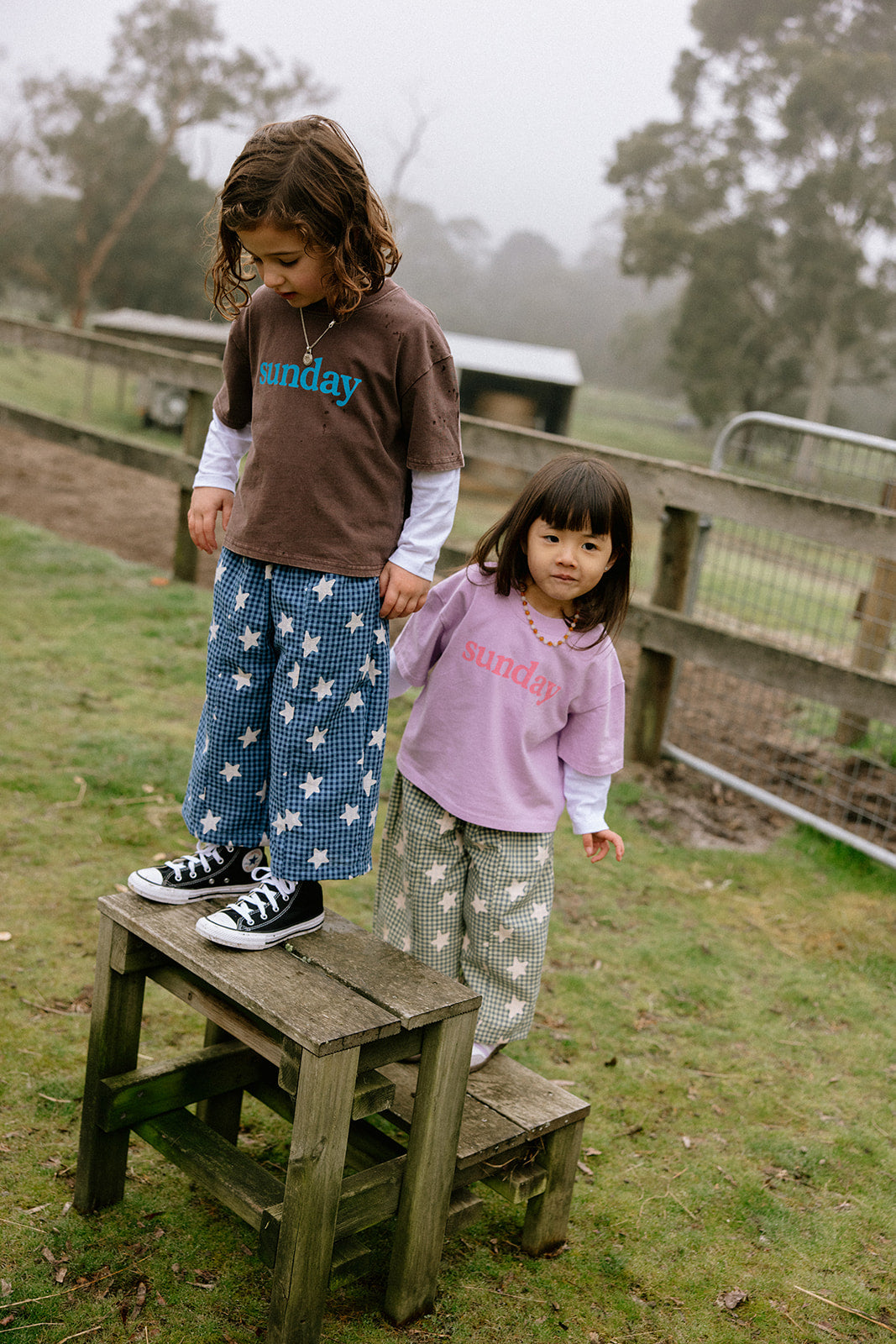 Dusty Star Pants - Blue Gingham