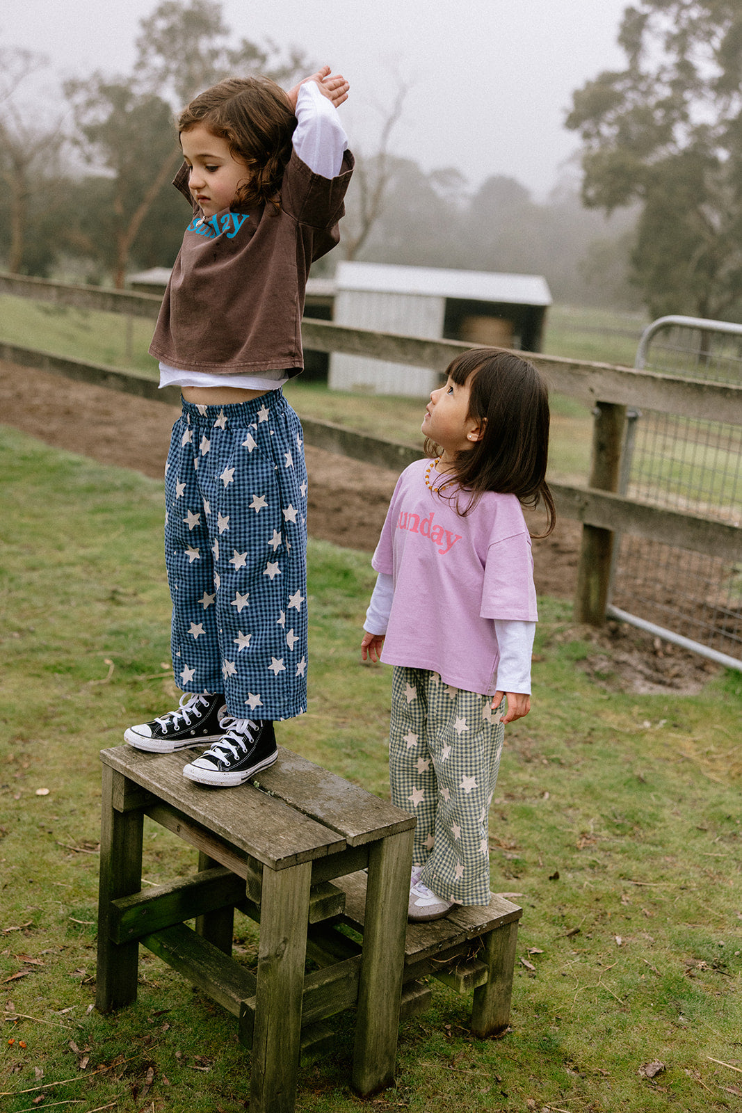 Dusty Star Pants - Blue Gingham