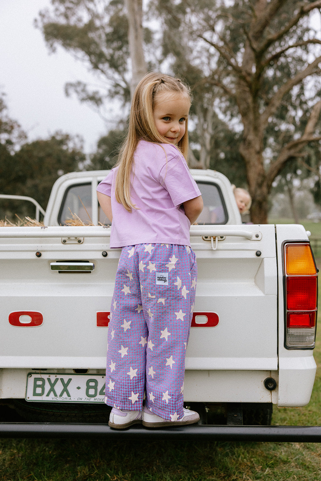 Dusty Star Pants - Purple Gingham