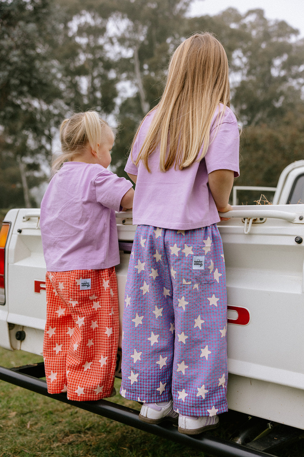 Dusty Star Pants - Purple Gingham