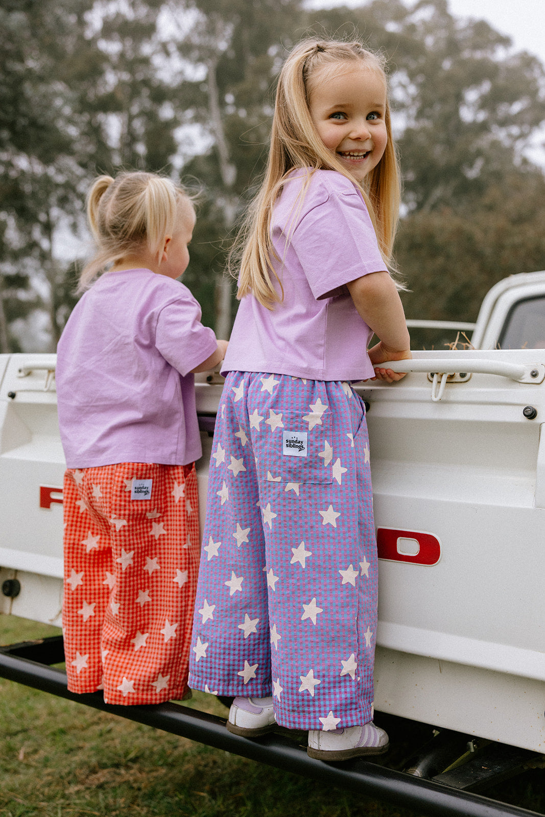 Dusty Star Pants - Purple Gingham